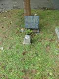 image of grave number 173230